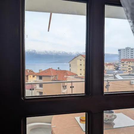 Ani Pogradaş