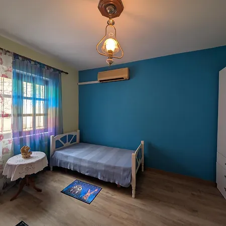 Ani Pogradaş