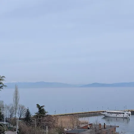Ani Pogradec